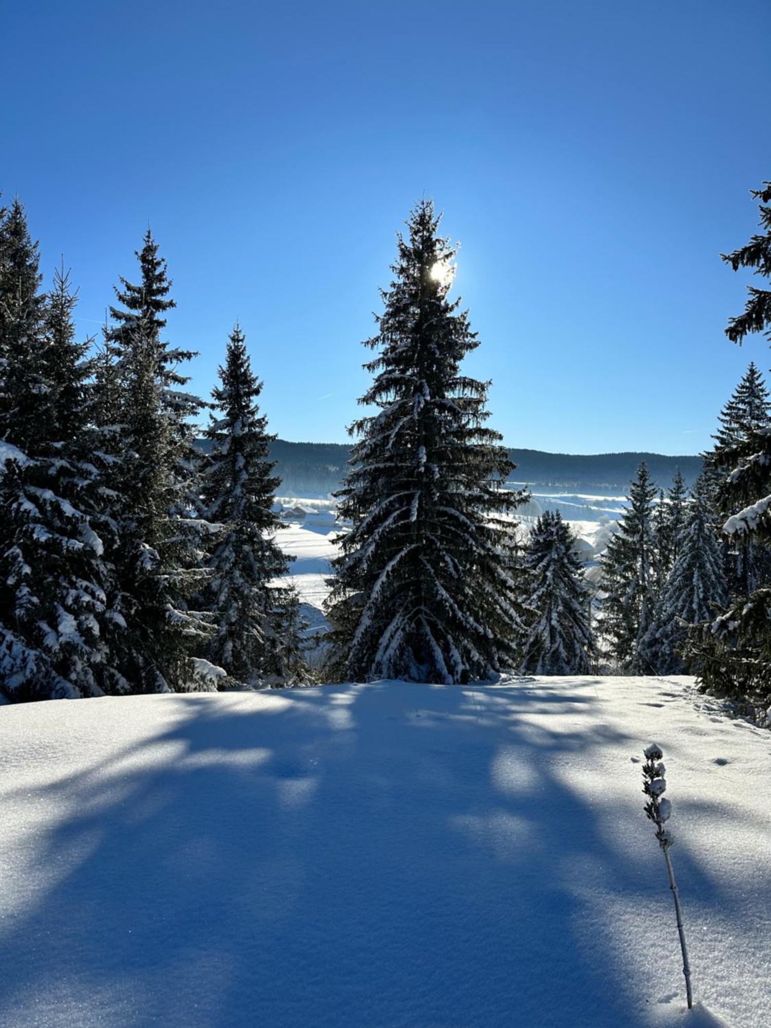 Le Belvedere Des Deux Lacs Le Brey et Maison du Bois Extérieur photo
